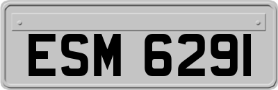 ESM6291