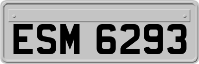 ESM6293