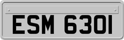 ESM6301