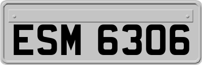 ESM6306