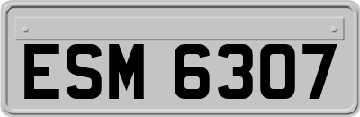 ESM6307
