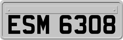 ESM6308