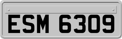 ESM6309