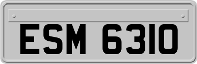ESM6310