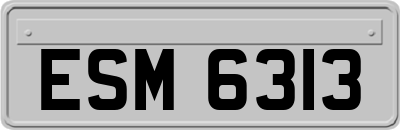 ESM6313