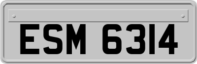 ESM6314
