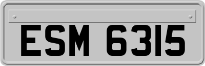 ESM6315