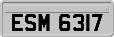 ESM6317
