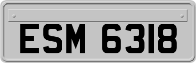 ESM6318