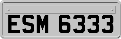 ESM6333
