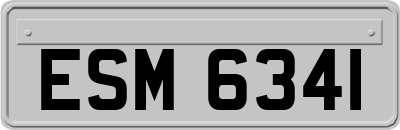 ESM6341