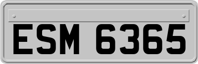 ESM6365