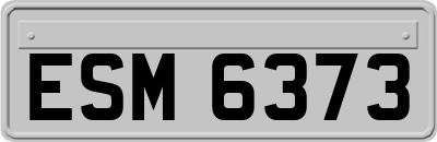 ESM6373