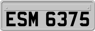 ESM6375
