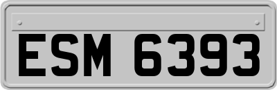 ESM6393