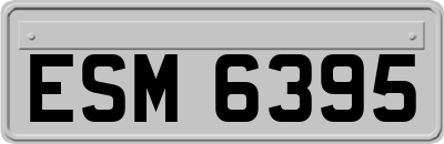 ESM6395