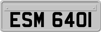 ESM6401