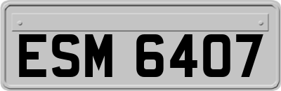 ESM6407
