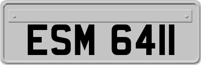 ESM6411