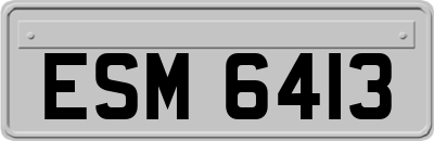 ESM6413