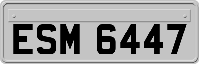 ESM6447
