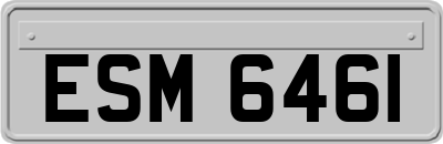 ESM6461