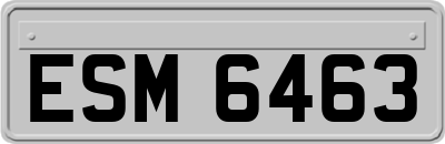 ESM6463