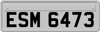 ESM6473