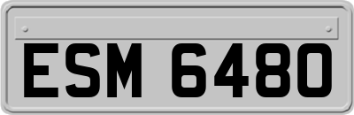 ESM6480