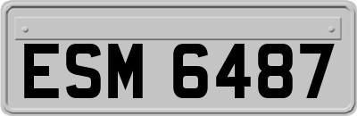ESM6487