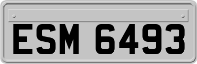 ESM6493