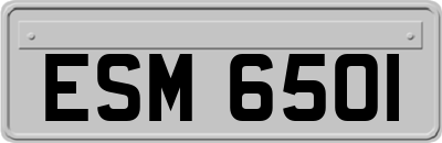 ESM6501