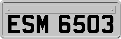 ESM6503
