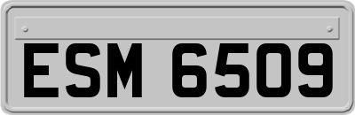 ESM6509
