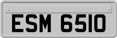 ESM6510