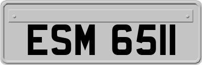 ESM6511