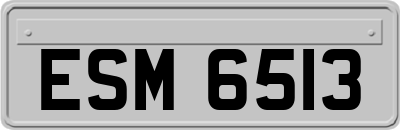 ESM6513