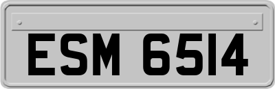 ESM6514
