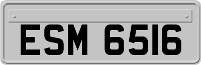 ESM6516