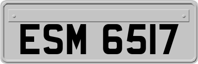 ESM6517