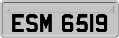 ESM6519