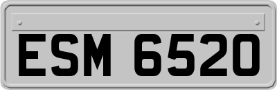ESM6520