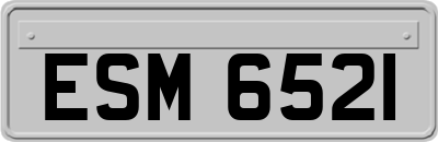 ESM6521