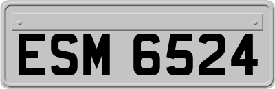 ESM6524
