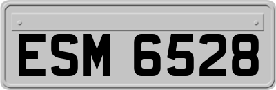 ESM6528