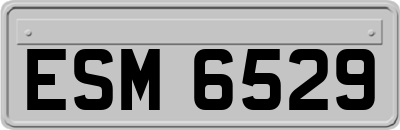 ESM6529