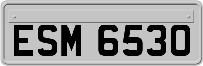 ESM6530