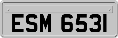 ESM6531
