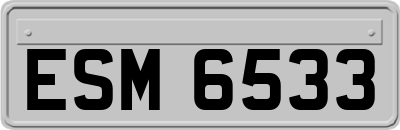 ESM6533