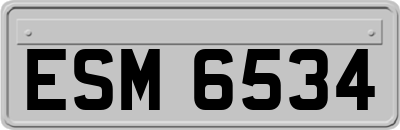 ESM6534
